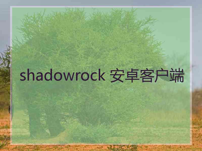 shadowrock 安卓客户端