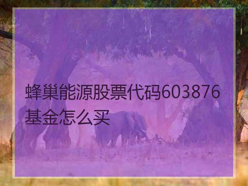 蜂巢能源股票代码603876基金怎么买