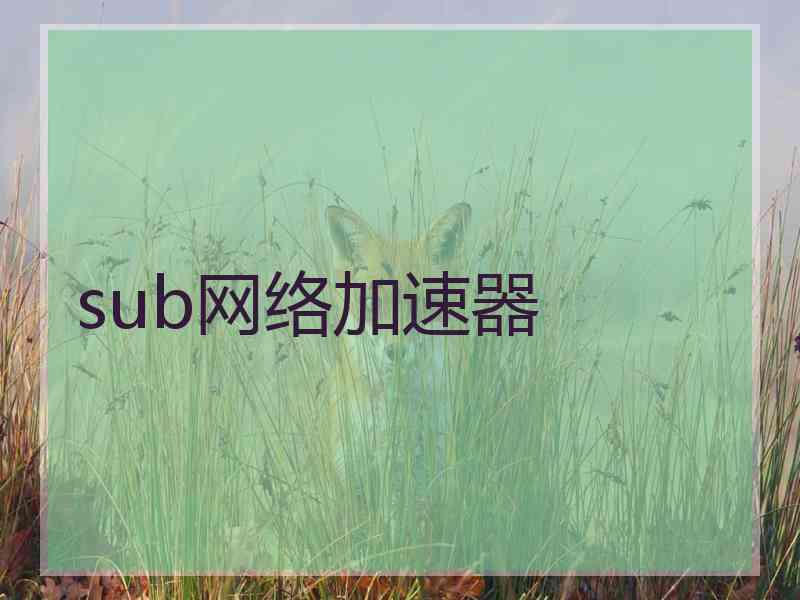 sub网络加速器