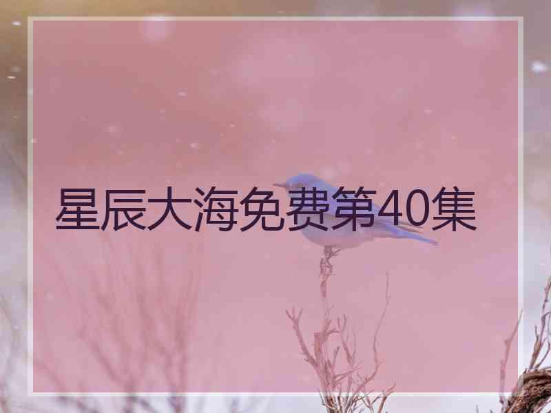 星辰大海免费第40集