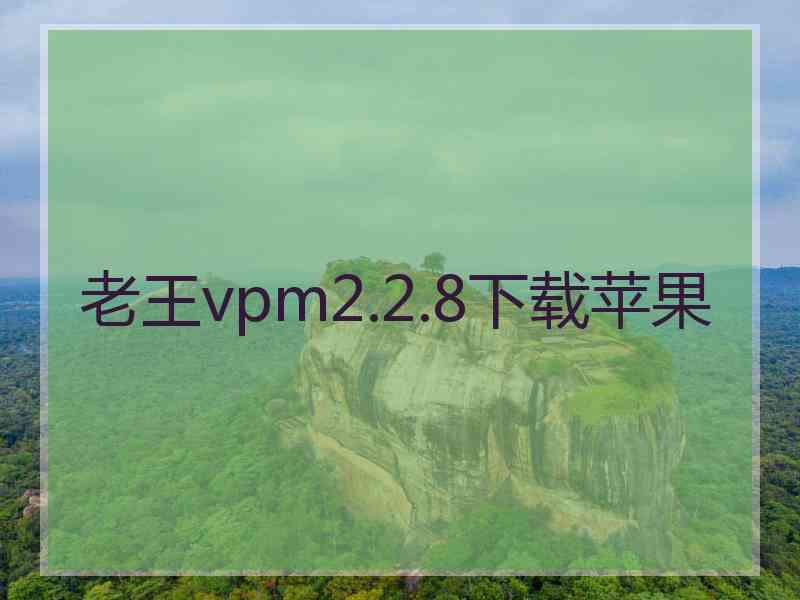 老王vpm2.2.8下载苹果