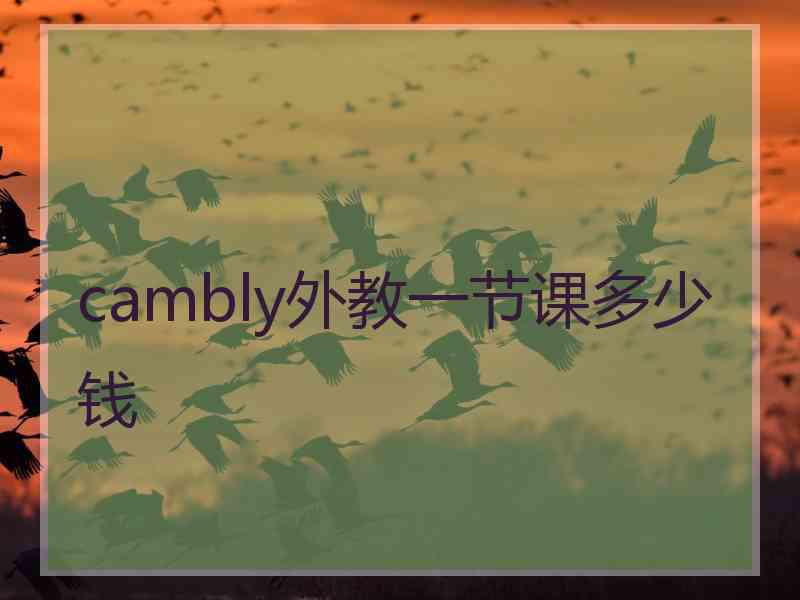 cambly外教一节课多少钱