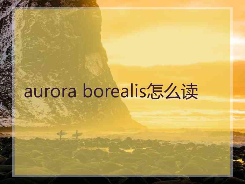 aurora borealis怎么读