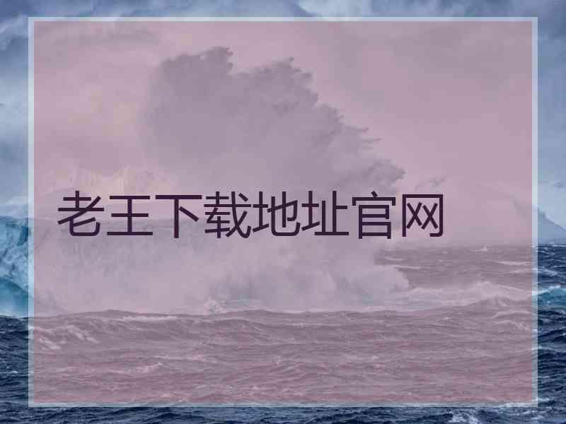 老王下载地址官网