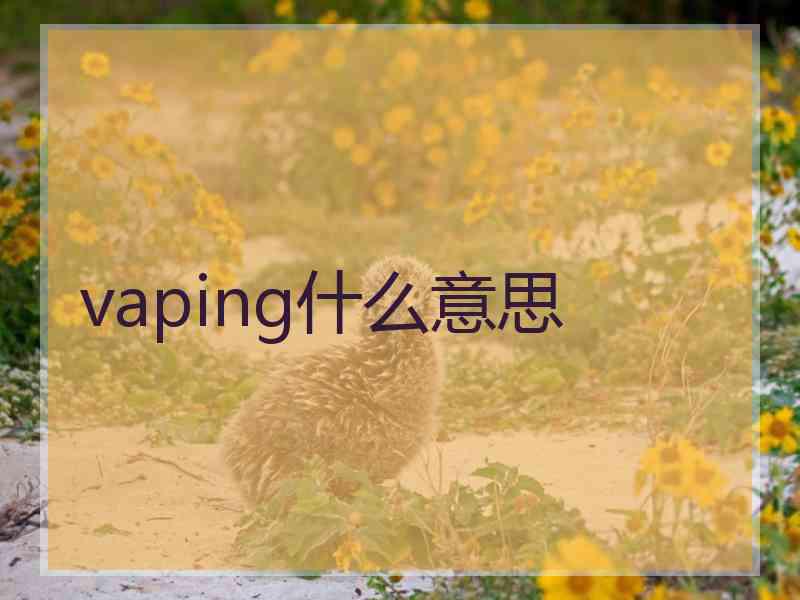 vaping什么意思