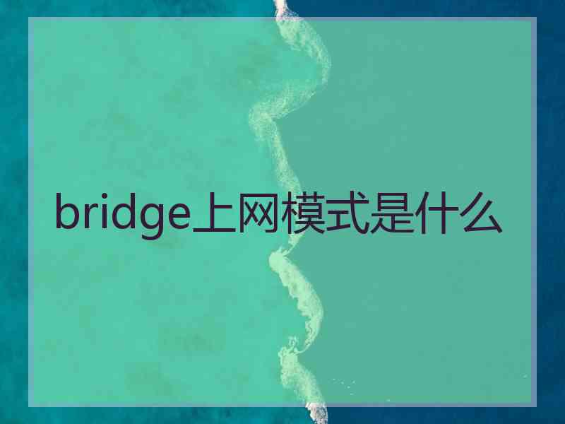 bridge上网模式是什么