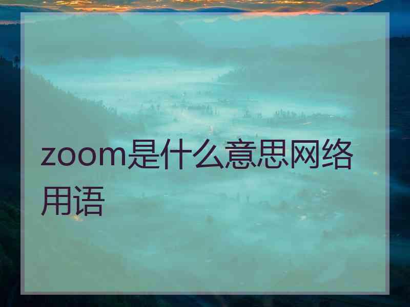 zoom是什么意思网络用语