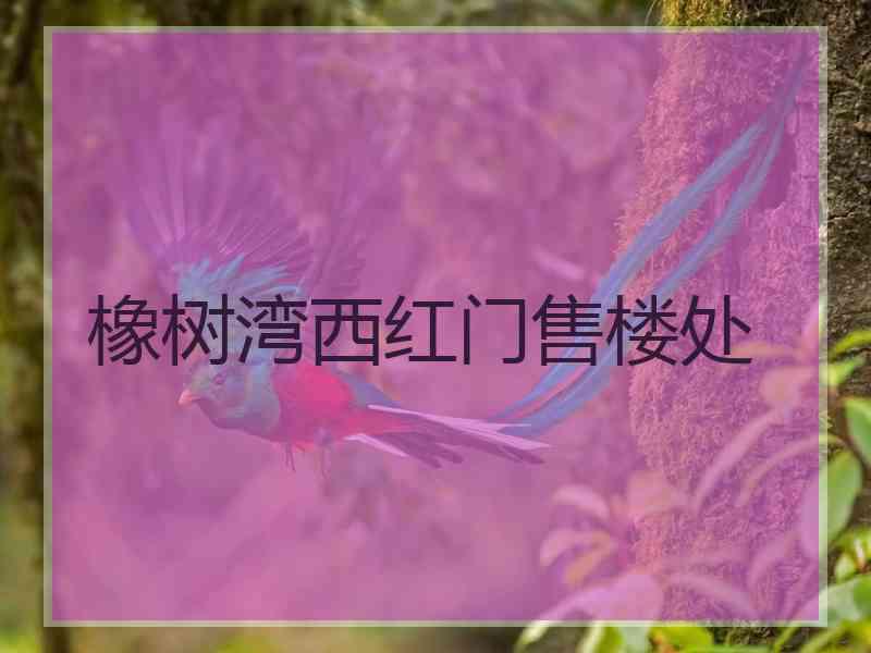 橡树湾西红门售楼处