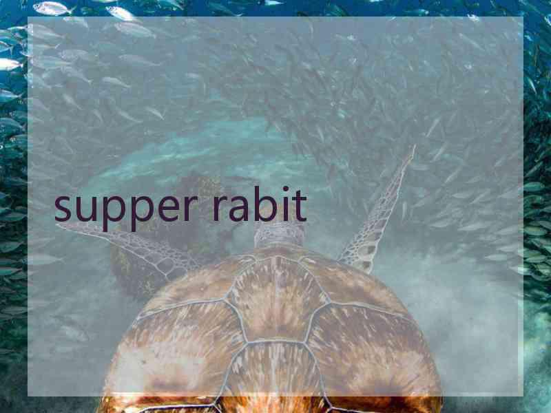 supper rabit