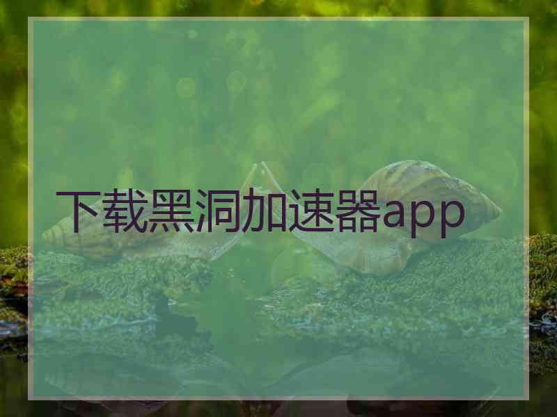 下载黑洞加速器app