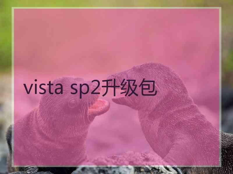 vista sp2升级包