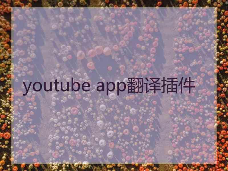 youtube app翻译插件