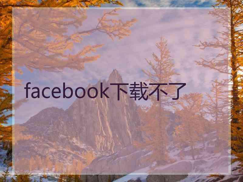 facebook下载不了