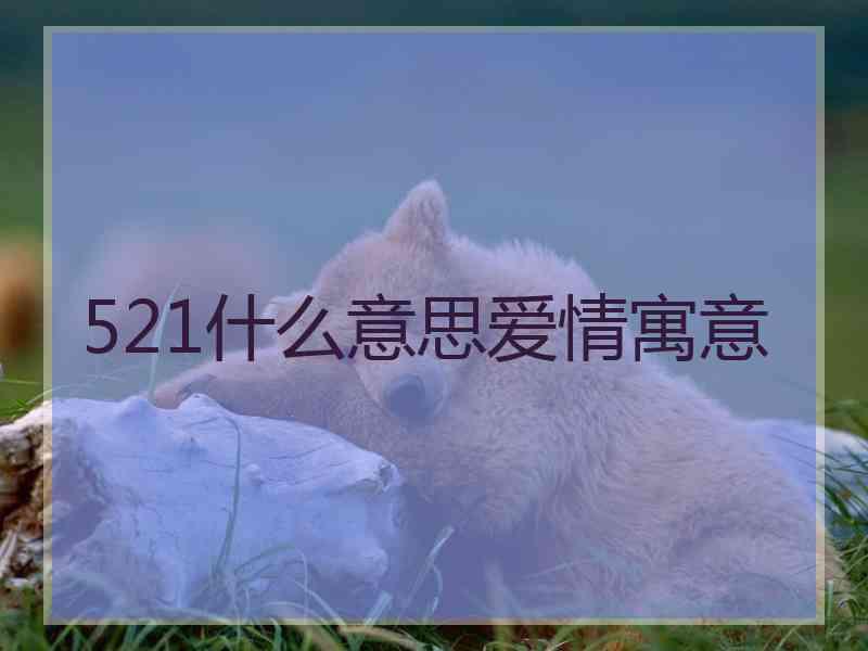 521什么意思爱情寓意