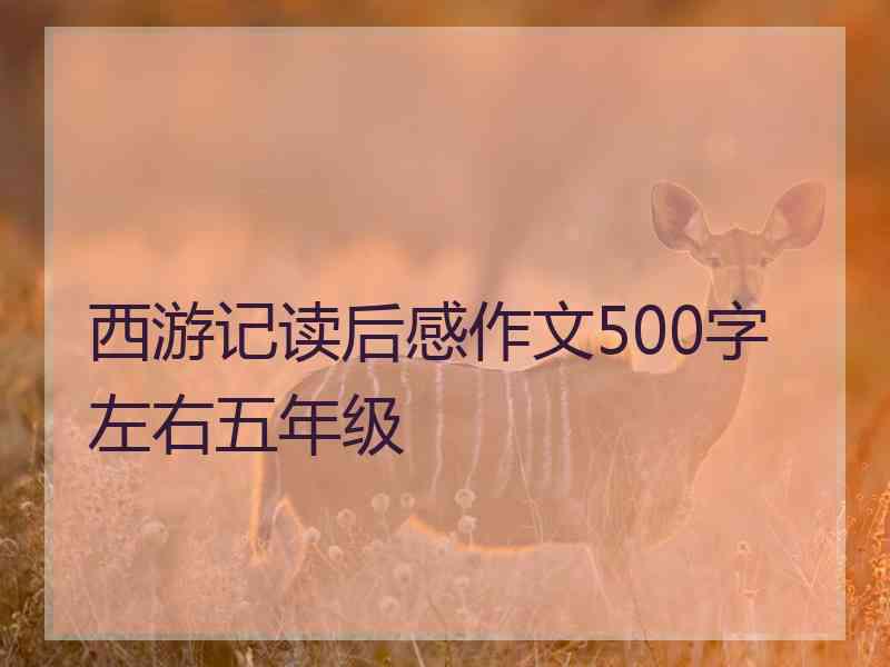 西游记读后感作文500字左右五年级