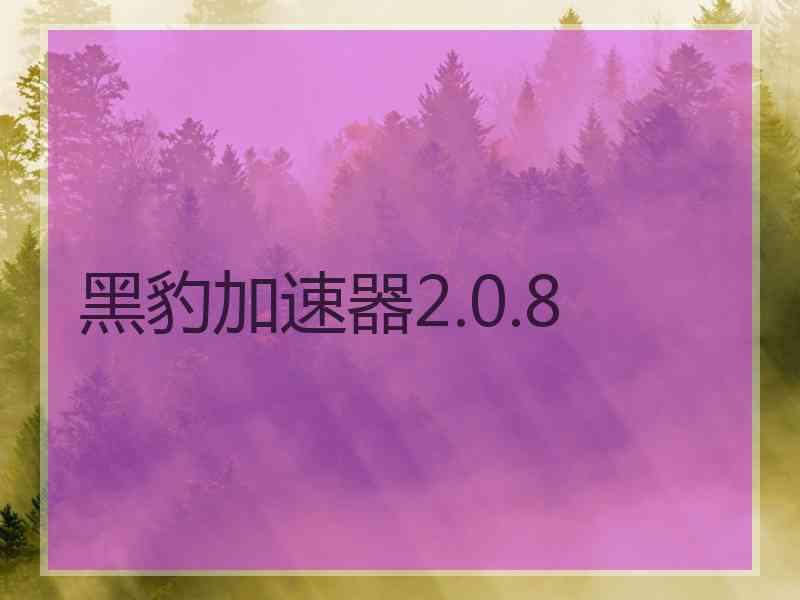 黑豹加速器2.0.8