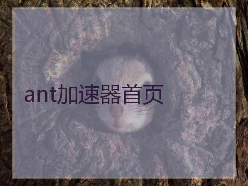 ant加速器首页