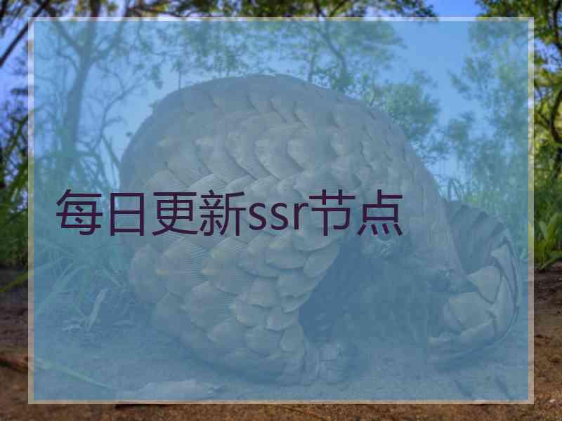 每日更新ssr节点