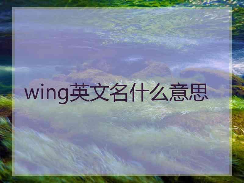 wing英文名什么意思