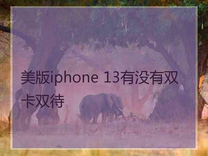 美版iphone 13有没有双卡双待