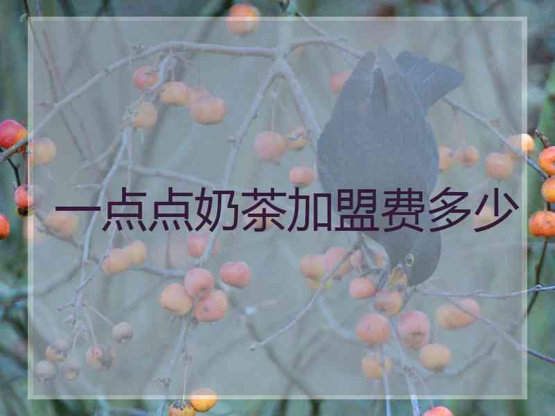 一点点奶茶加盟费多少