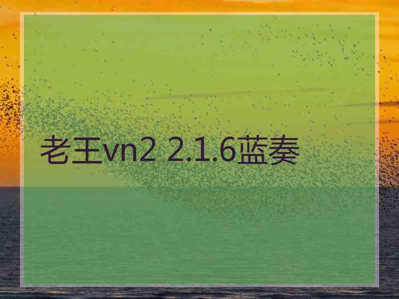 老王vn2 2.1.6蓝奏