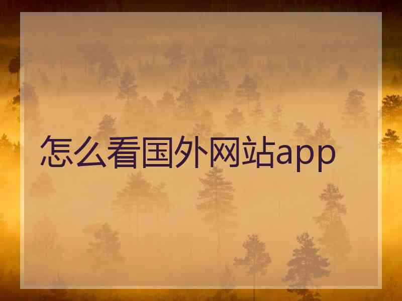 怎么看国外网站app