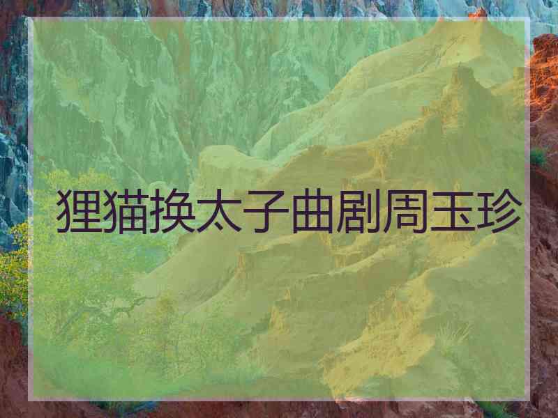 狸猫换太子曲剧周玉珍