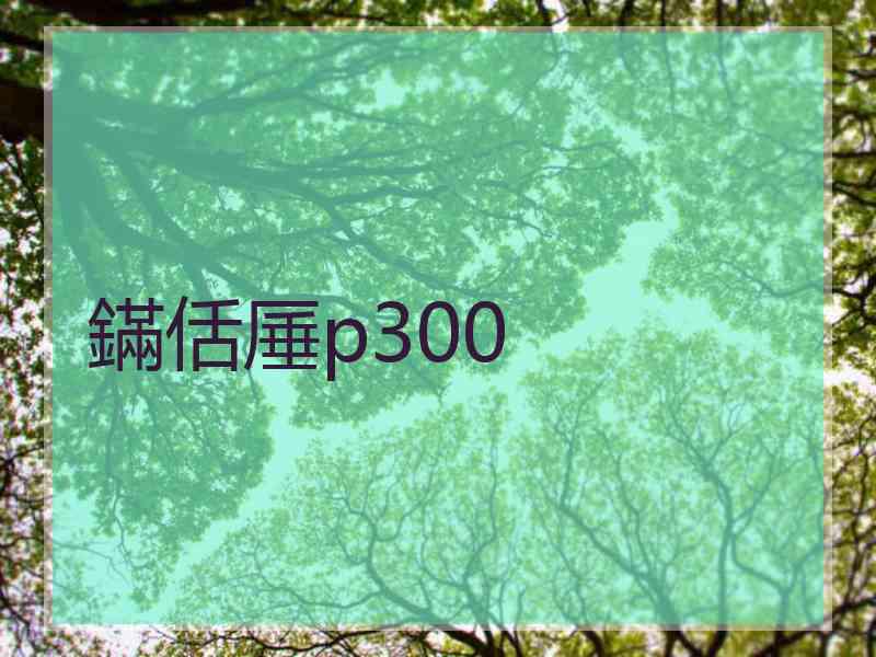 鏋佸厜p300