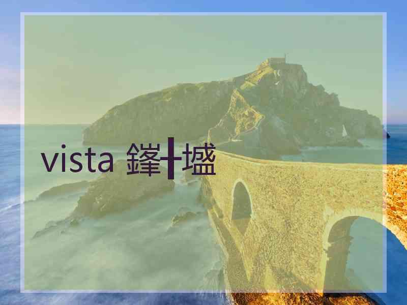 vista 鎽╂墭