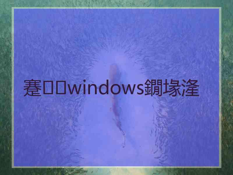 蹇windows鐗堟湰