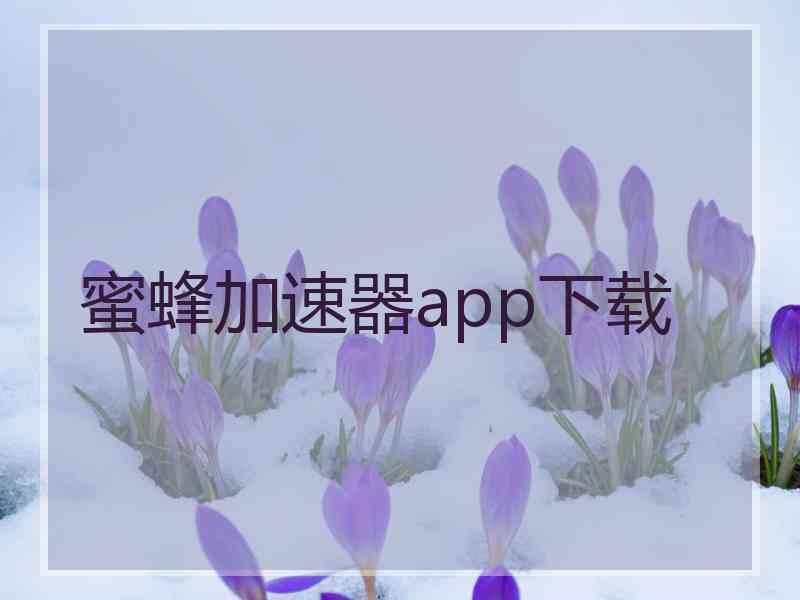 蜜蜂加速器app下载