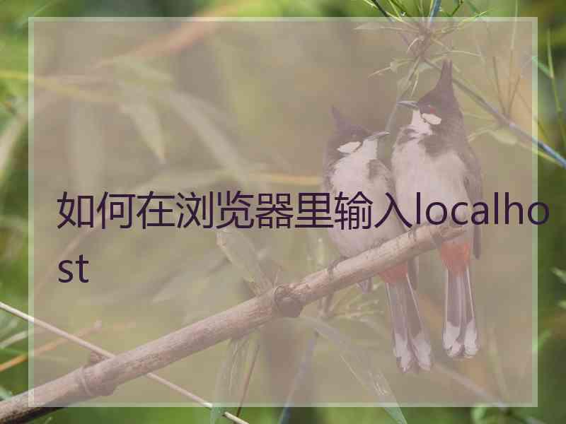 如何在浏览器里输入localhost