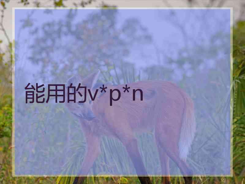 能用的v*p*n