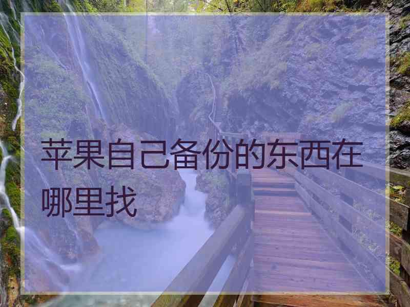 苹果自己备份的东西在哪里找