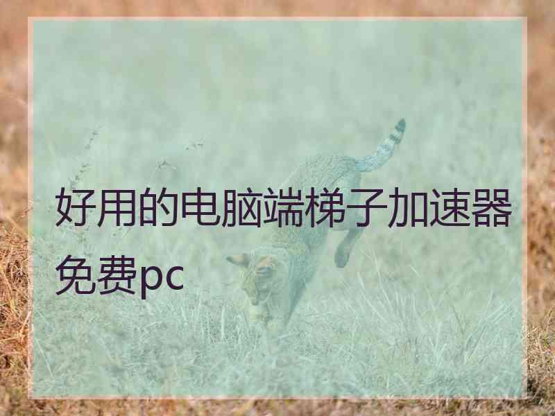 好用的电脑端梯子加速器免费pc