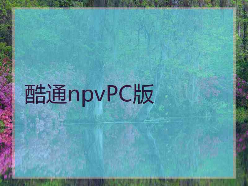 酷通npvPC版