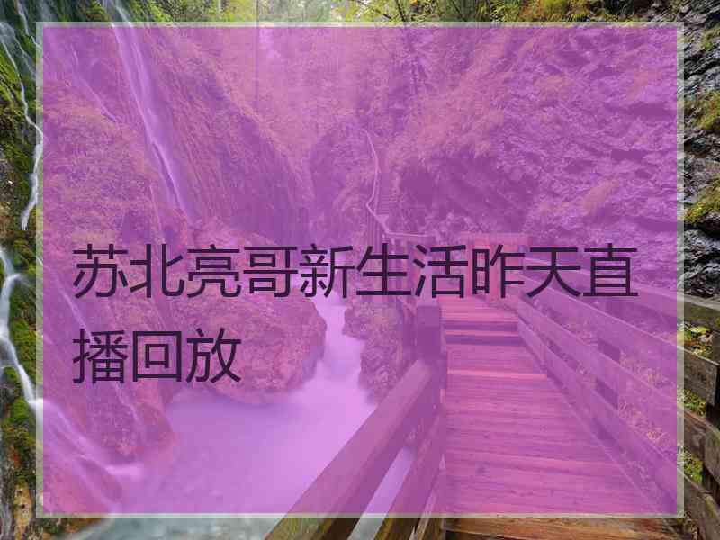 苏北亮哥新生活昨天直播回放