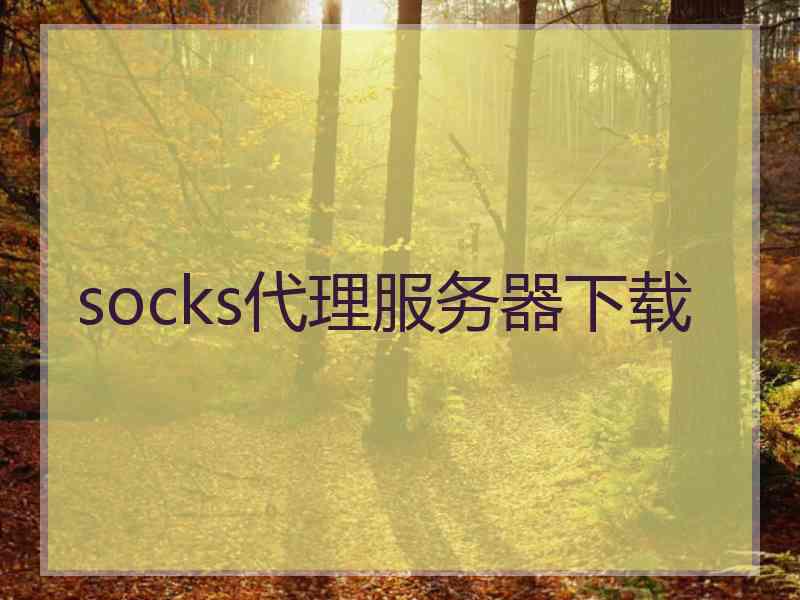 socks代理服务器下载