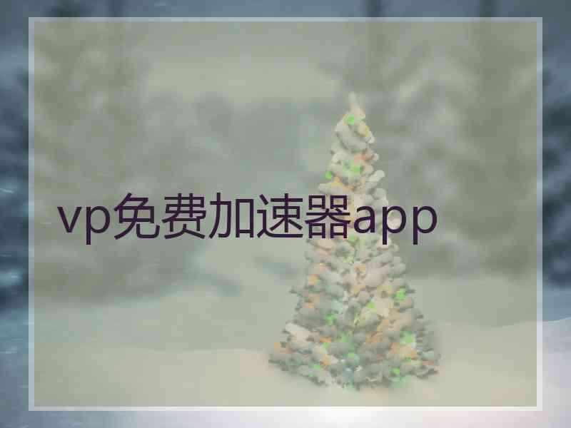 vp免费加速器app