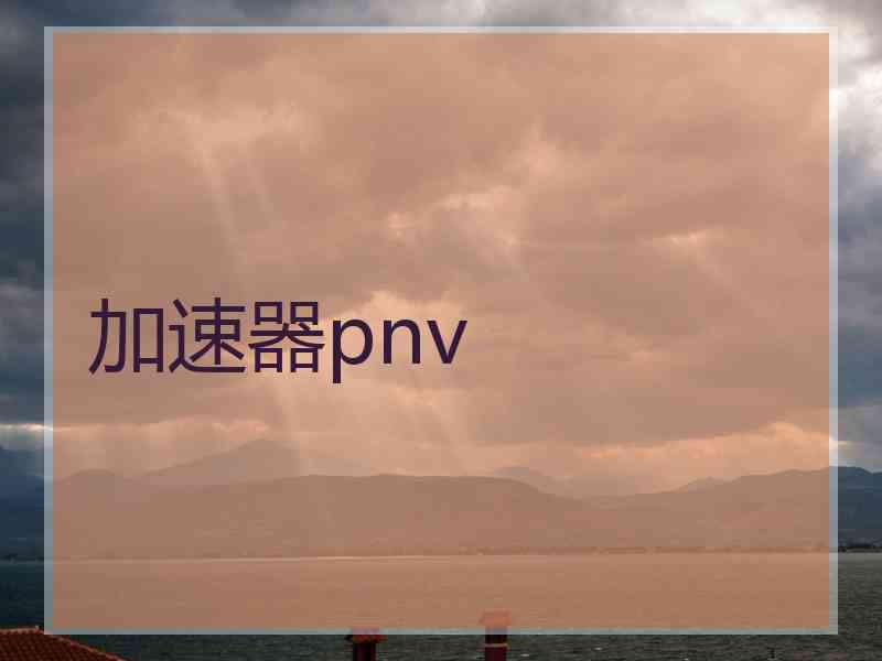 加速器pnv