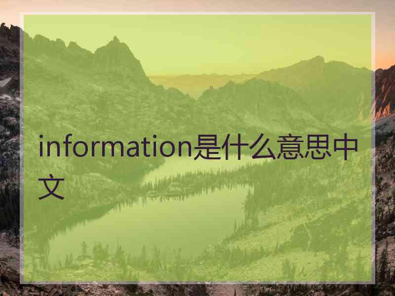 information是什么意思中文