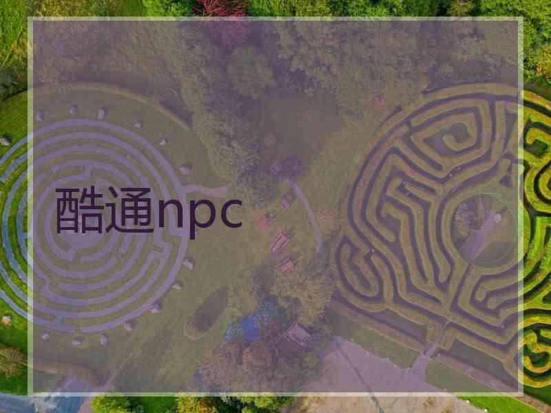 酷通npc