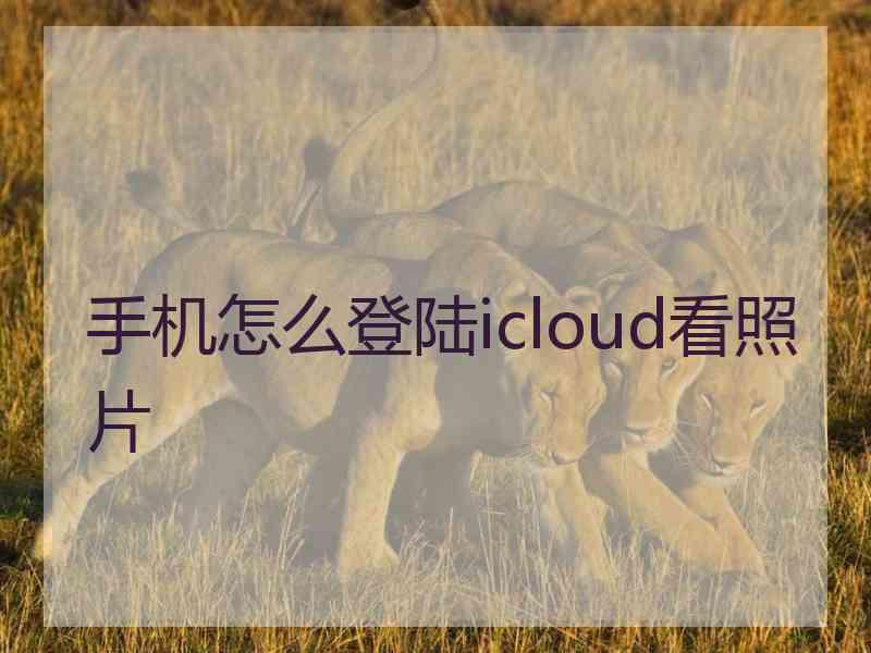 手机怎么登陆icloud看照片