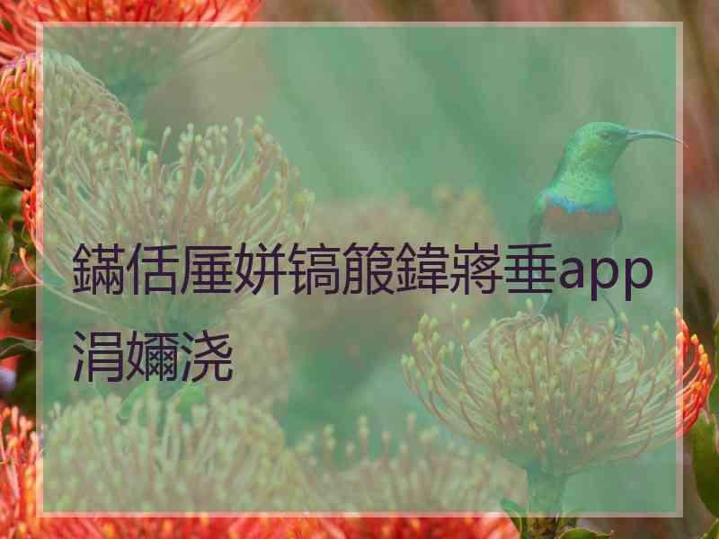 鏋佸厜姘镐箙鍏嶈垂app涓嬭浇