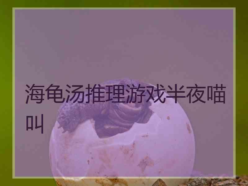 海龟汤推理游戏半夜喵叫