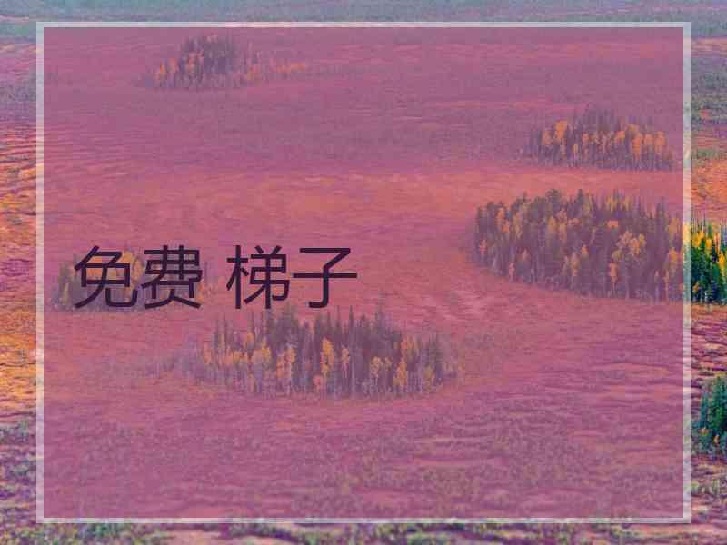 免费 梯子