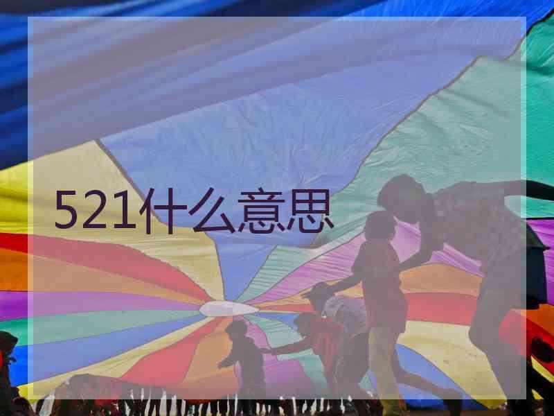 521什么意思