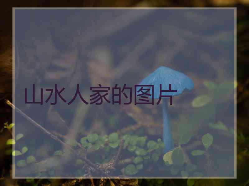 山水人家的图片