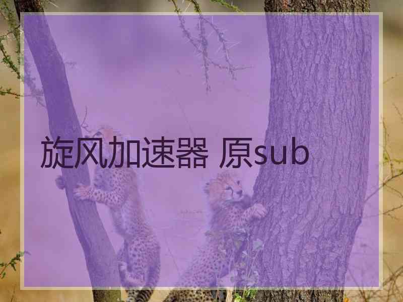 旋风加速器 原sub